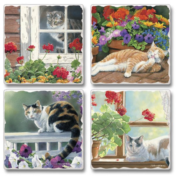 Stone Coasters "Lazy Day"