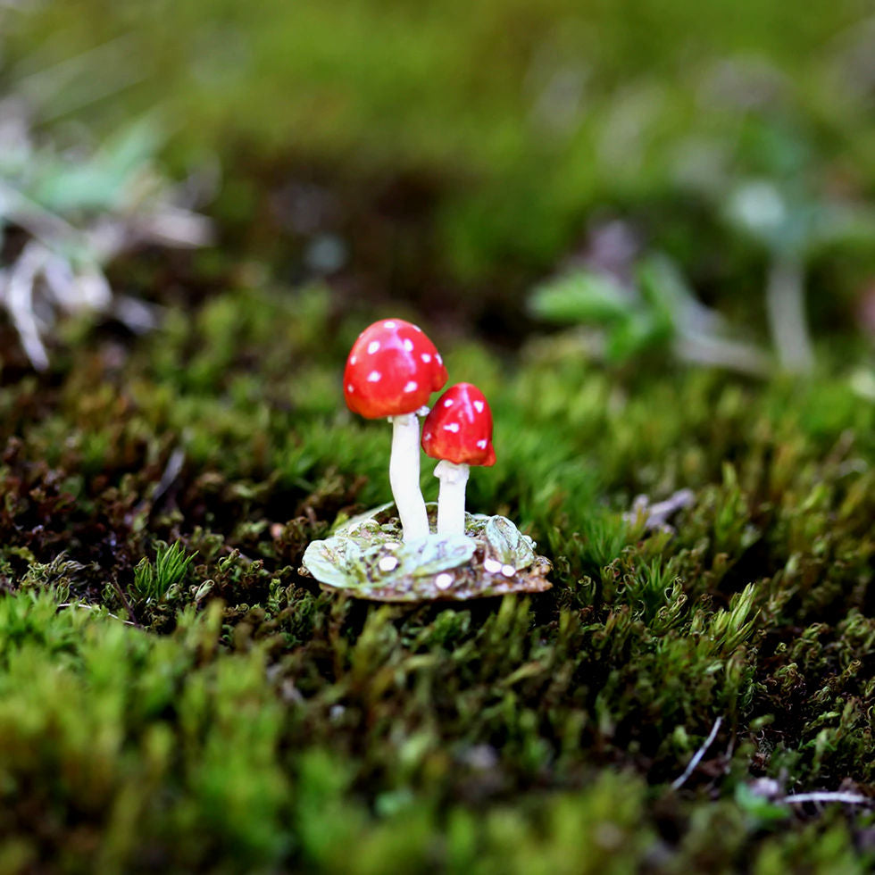 Wee Forest folk A-64 "Tiny Toadstools"
