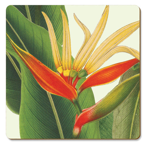 Coasters Cork-Back "Heliconia" of the NY Botanical Garden Designs.